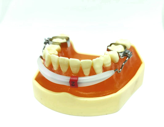 Ortho Technology Lip Bumper Loops & Stops