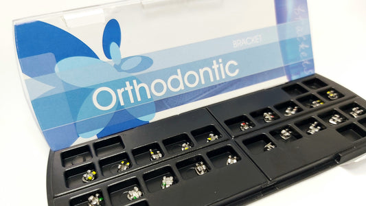 Lobelia 022 Mbt Braket Seti