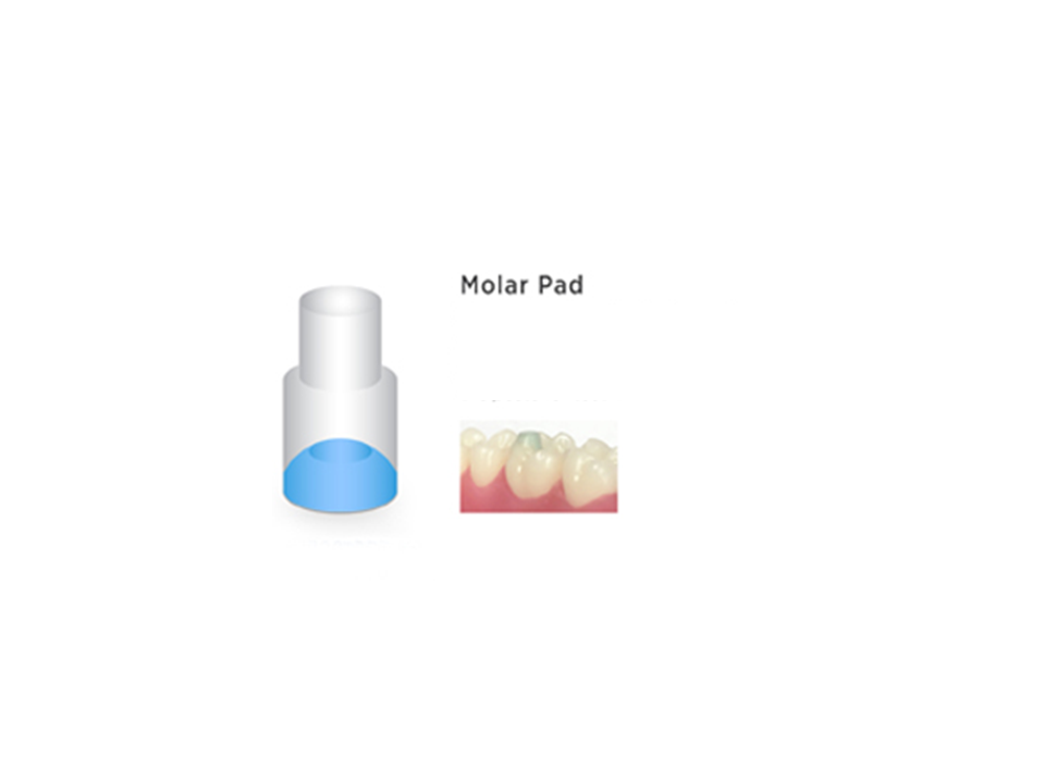 Mini Mold