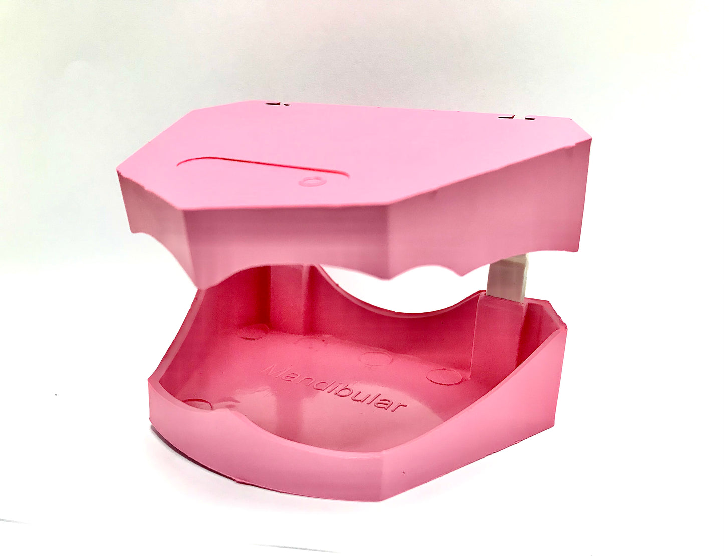 Model Base